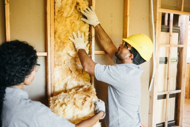 Professional Insulation Contractor in Clifton, CO